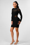 Alexis sheer cut out long sleeve bandage dress